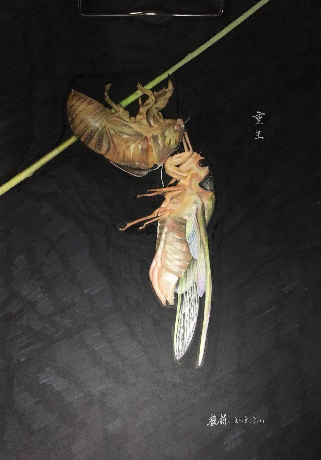 幸福原创画吧画友（7月11日）习作分享