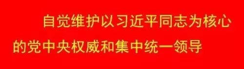 山寨微信是什么样,山寨微信都是有哪几种样子