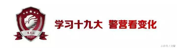 黑龙江林区公安局属地化改革,垦区公安局哈尔滨分局