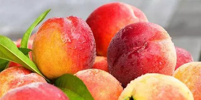 古田水蜜桃又香又甜又脆又多汁,古田水蜜桃推荐