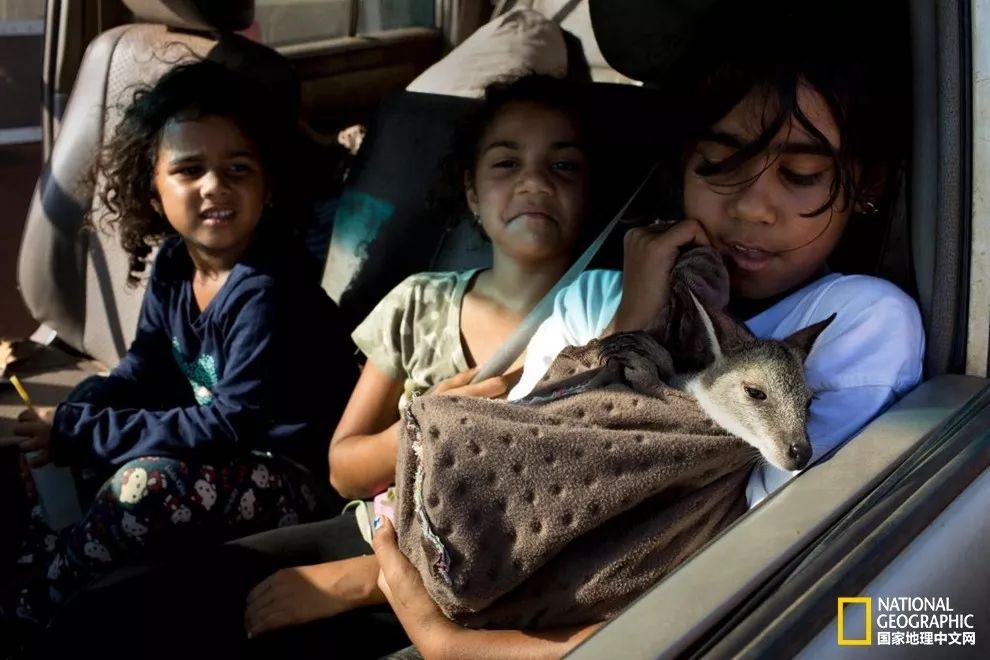 遗世独立，提维群岛｜我敬你是片世外天堂！