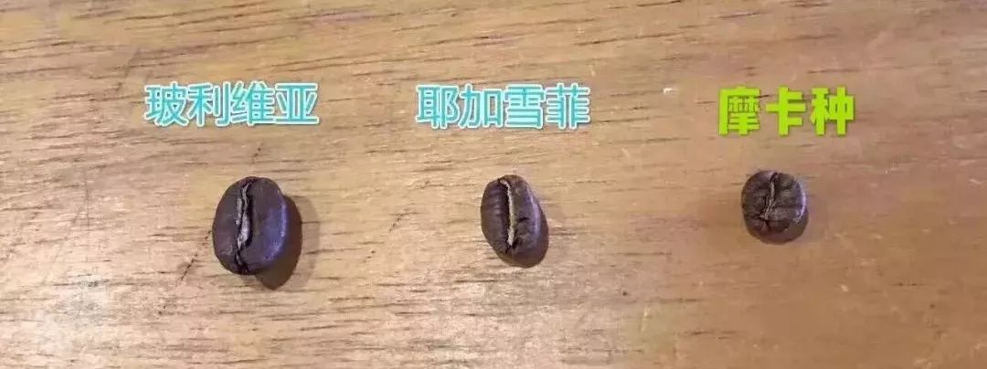 拿铁咖啡成分表测评,冷萃咖啡知识科普