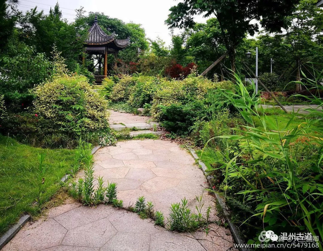 南白象塔全景图,南白象公园