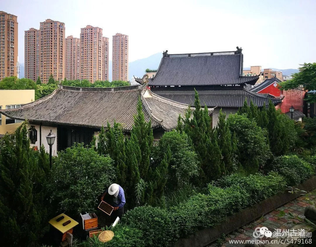 南白象塔全景图,南白象公园