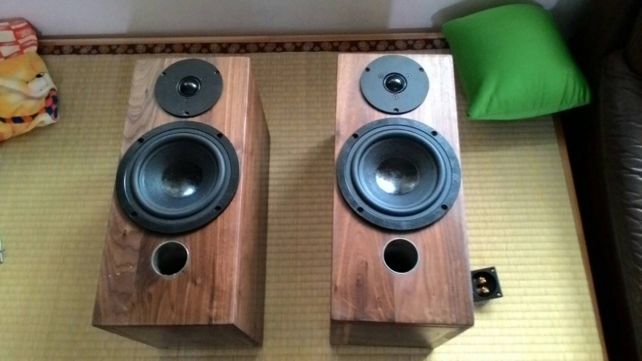 为了梦中的音响系统，一个音响发烧友的DIY血泪旅程