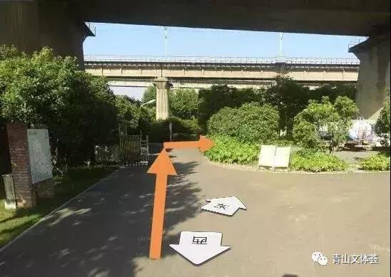 戴家湖附近足球场,戴家湖公园足球场免费吗