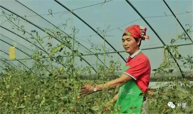 这个韩国欧巴11年前来西安，盖农场当农夫，还娶主播做媳妇儿