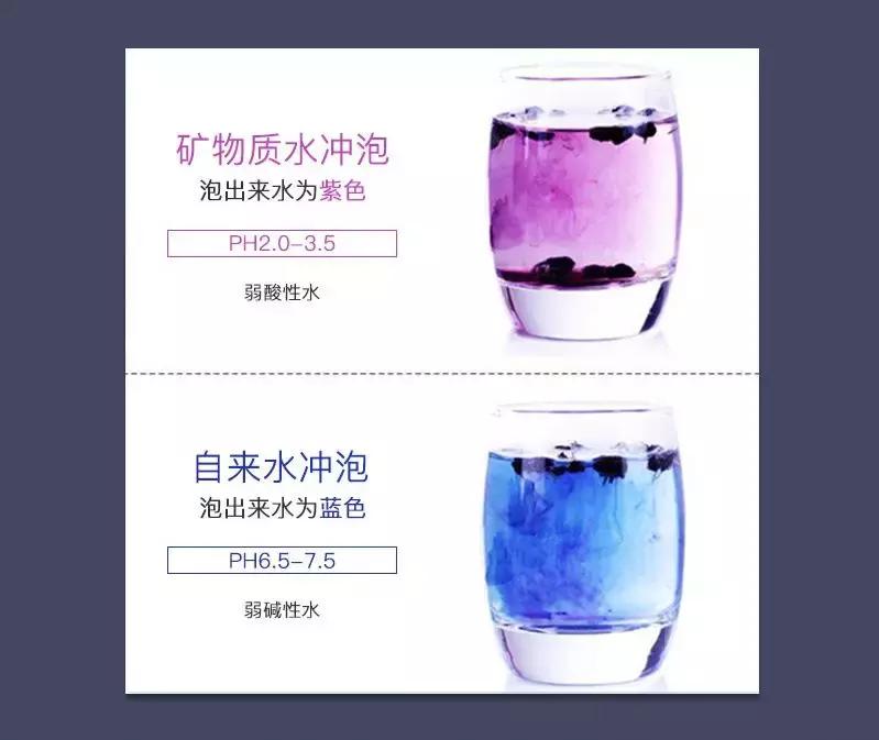 黑枸杞叶子可以食用吗,黑枸杞功效与作用及正确食用方法