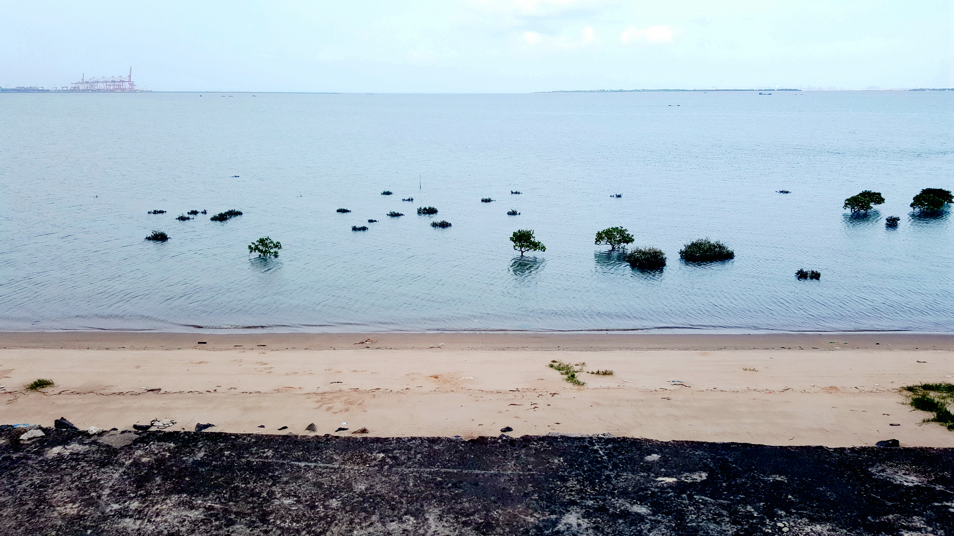中国沿海旅行D14,金沙湾,遇见优雅女子就是人生最美好时刻