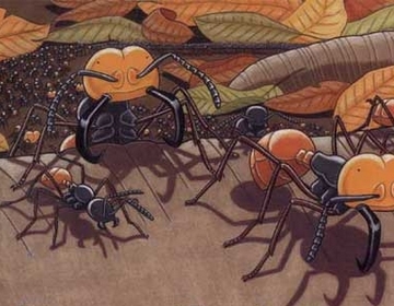 蚂蚁竟然是地球进化最完美的生物,蚂蚁是怎么从地球进化来的