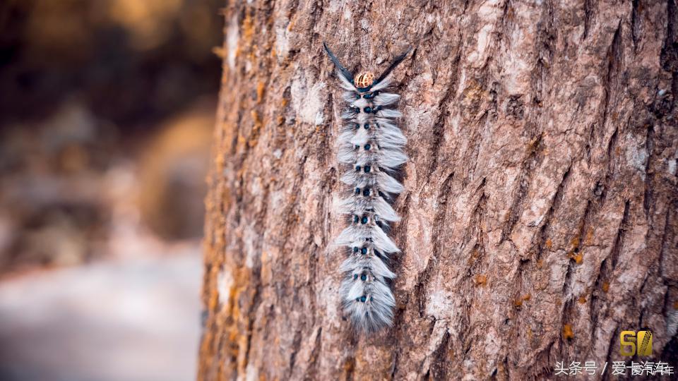 超级卡友,黔桂自驾游全过程