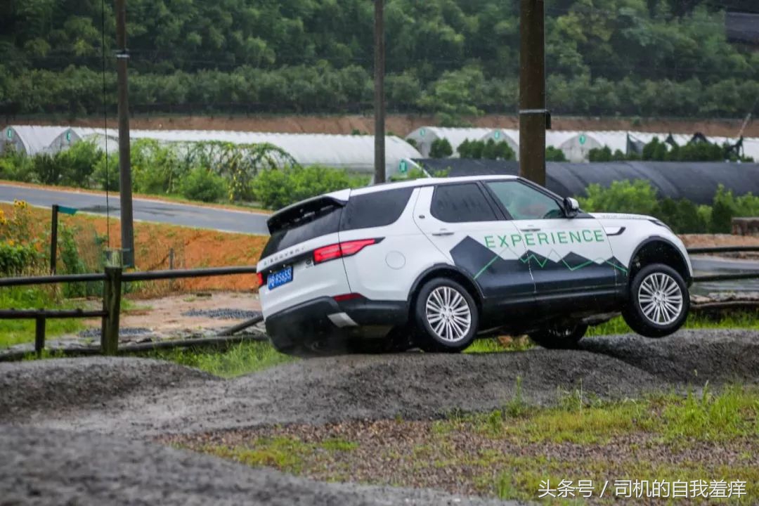 如果你想体验征服感，那养一头猛虎应该是不错的选择