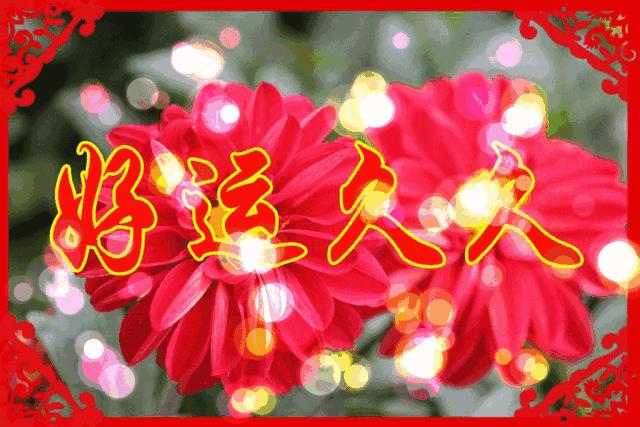 观音赐福一生幸福,观音赐福福气满满