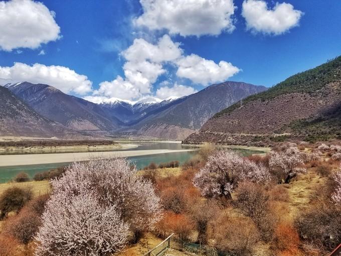 *藏西**，我历经十里桃花劫，只为寻心之所往