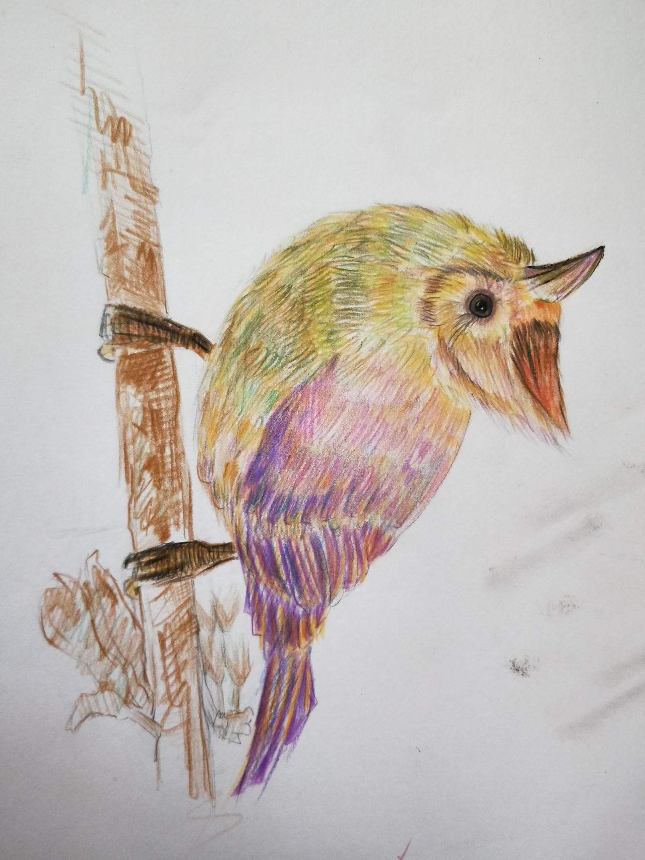 绘画是表达内心想法最纯粹的语言,绘画真的能滋养人的心灵