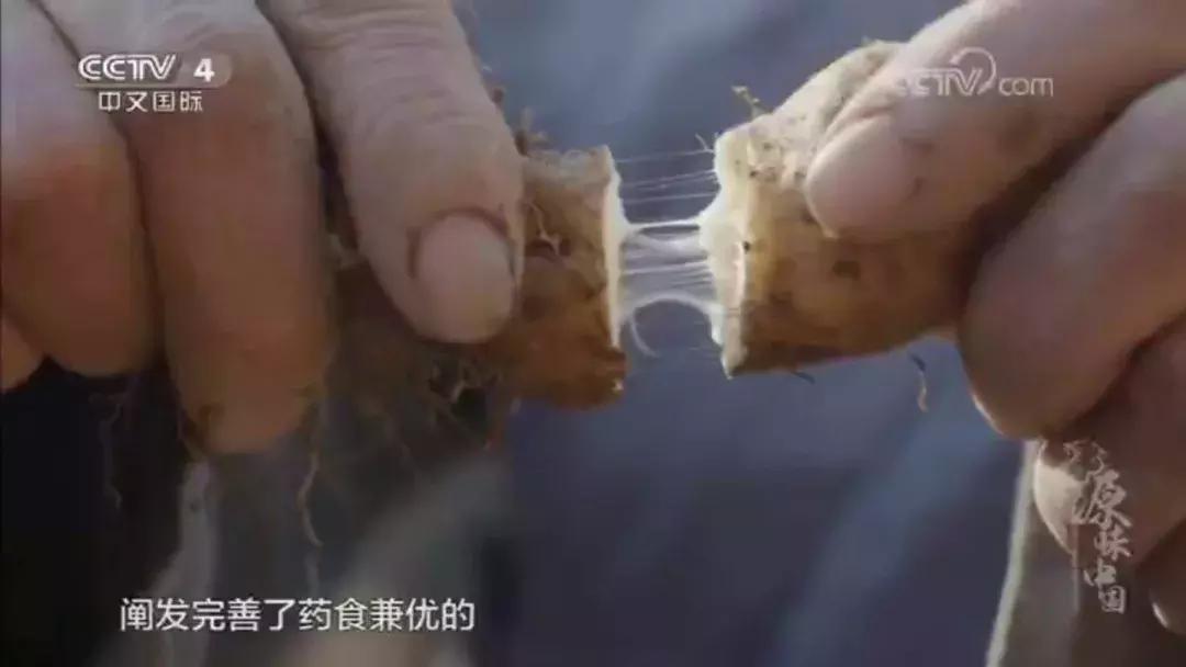 山药后期除草,山药种植怕除草剂吗