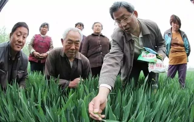 农业创业的机遇与风险,农业创业的一点浅见