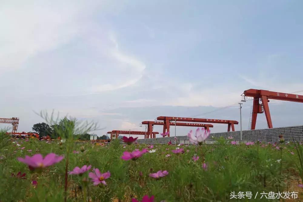 安六铁路新进展,直播安六铁路开通