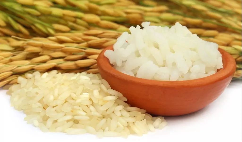 湖北42个示范村名单,湖北省重磅村名单