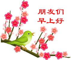 早上好清晨送你一首吉祥的歌,早上好喜鹊报喜的叫声