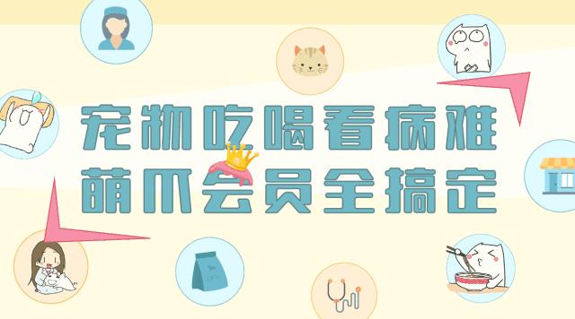 我家猫吃了就吐怎么办,猫吞了毛线怎么办