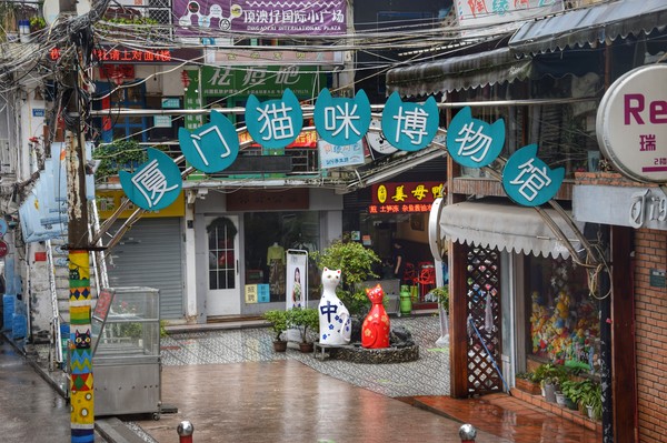 厦门旅游的必备攻略,厦门游玩攻略自由行一天夏天