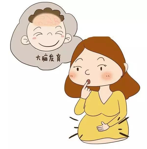 儿童脑发育必需的8大营养素,脑发育关键营养素