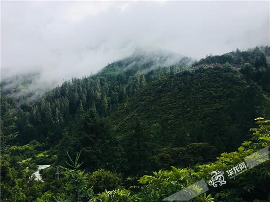 欢乐足球夜,欢乐足球户外活动