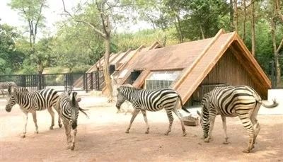 坐着地铁去旅行｜武汉地铁4号线吃喝超全攻略！