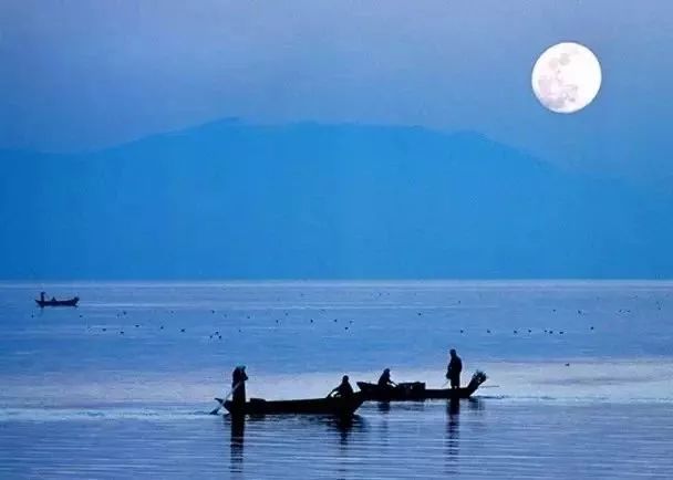 美到窒息的夏日洱海,在这个浪漫的夏天遇见你