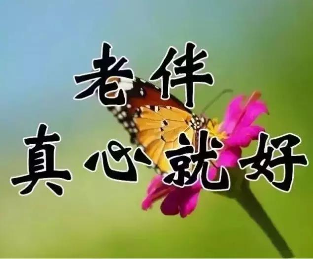 祝你天天快乐早上好图片,祝大家早上好天天有个好心情