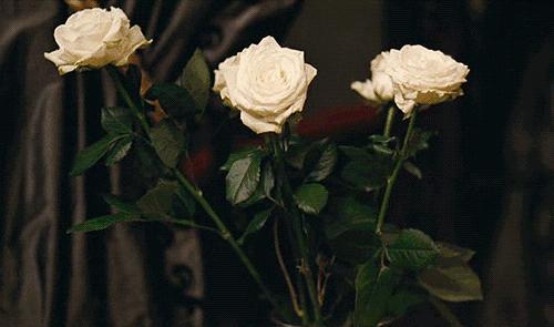 陷入爱情的女生会怎样,陷入爱情的女人