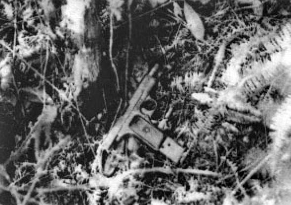 1983年震惊全国的追捕二王案,惊天大案纪实西安大追捕