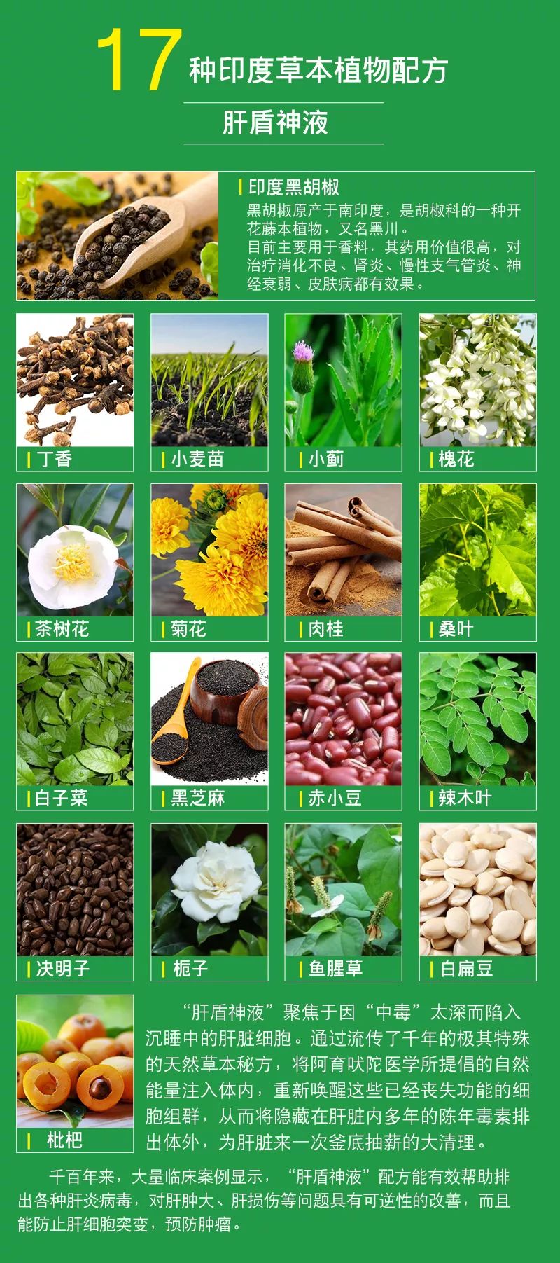 阿育吠陀神液怎么读,阿育吠陀神液