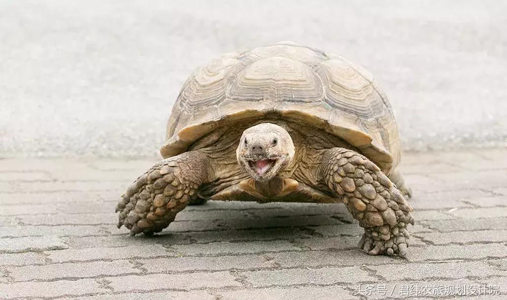 亲子牧场的标杆，看看这家年入2亿的母亲牧场是怎么做到的