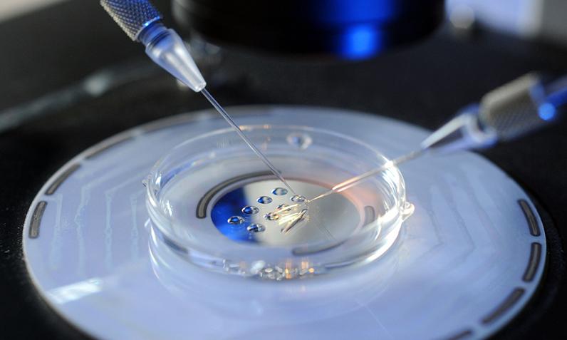 什么样的卵泡需要促排,什么样的卵泡才能取出来