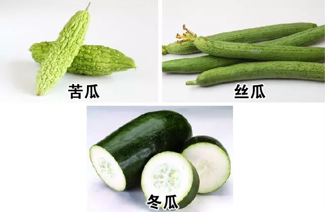 今日末伏注意事项,今日入伏注意吃点啥呢