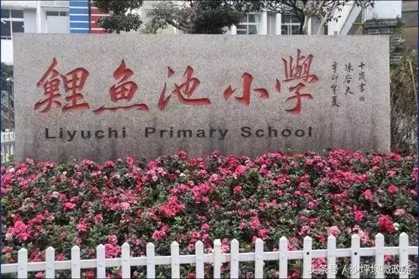 重庆天地人和街小学对口中学,重庆双湖小学对口中学是哪个