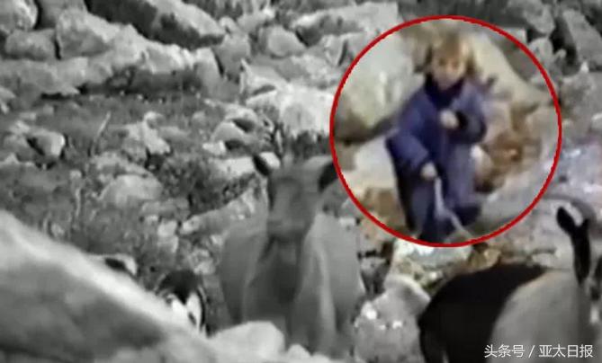 魔笛莫德里奇为什么叫放羊娃,魔笛莫德里奇克罗地亚几号球衣