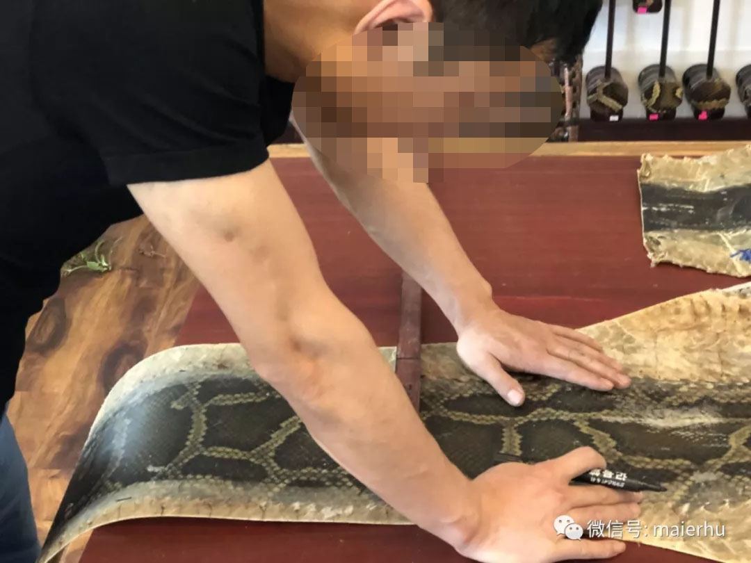 购买二胡怎样挑选,购买二胡