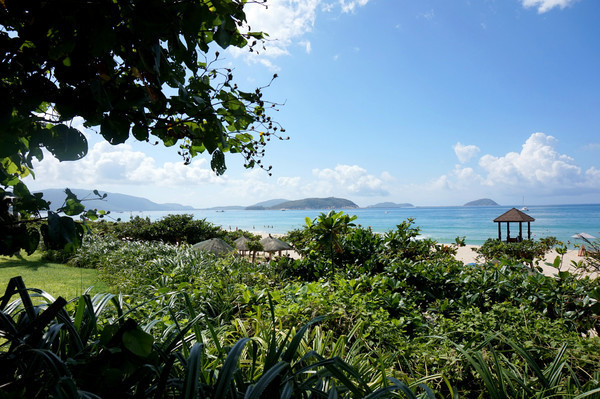 晒黑攻略,晒黑指南