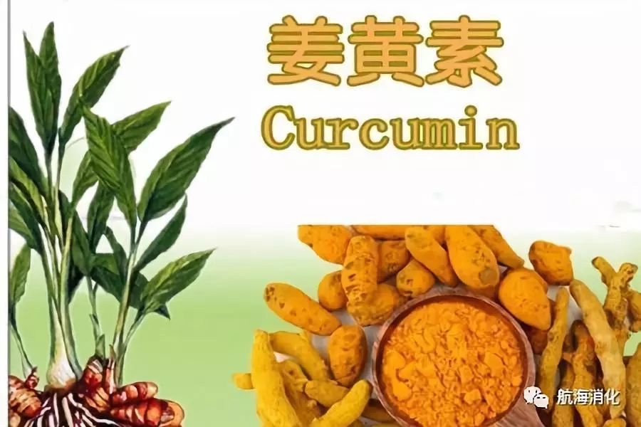 预防肠息肉日常饮食你吃对了吗,肠息肉的饮食应该主要注意什么