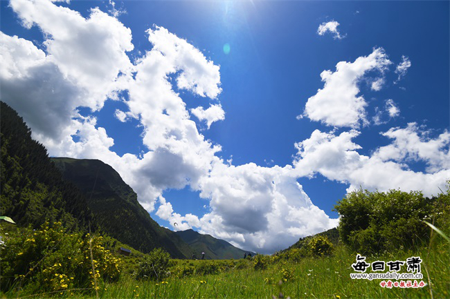 靠山“吃”风景“熊猫沟”村民端上乡村旅游“金饭碗”