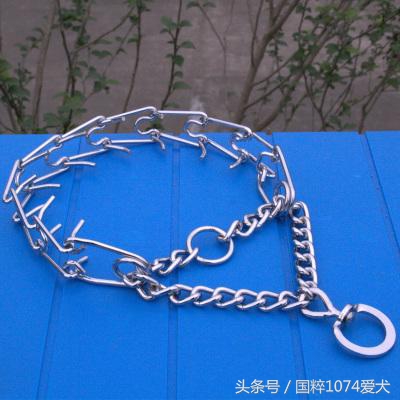 狗子不听话要怎么惩罚,不听话的狗子怎么教