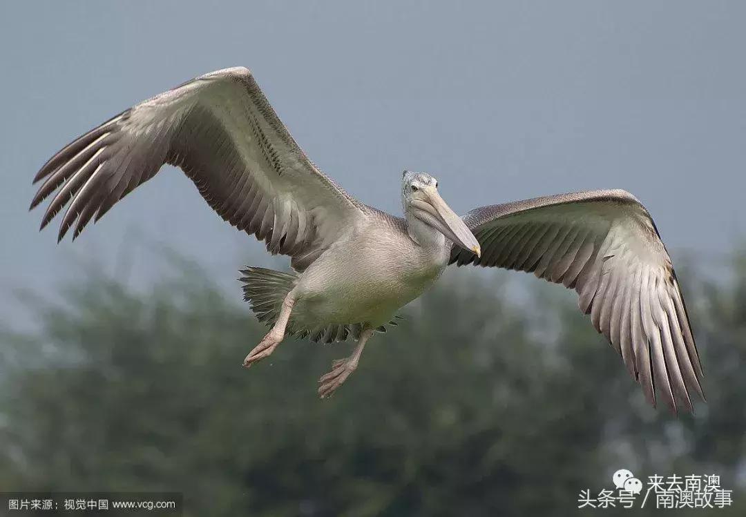 这座小岛究竟隐藏了多少秘密,一座鲜为人知的隐藏小岛