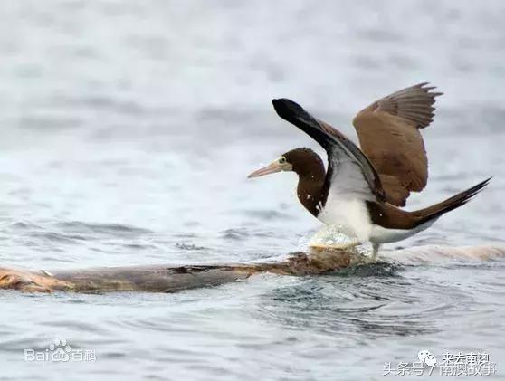 这座小岛究竟隐藏了多少秘密,一座鲜为人知的隐藏小岛