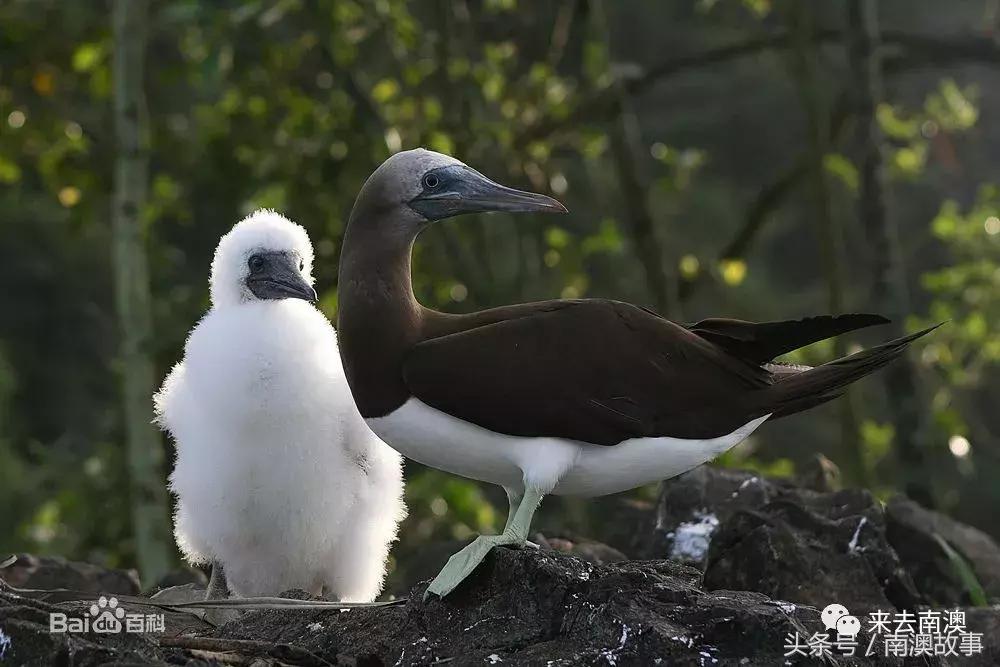 这座小岛究竟隐藏了多少秘密,一座鲜为人知的隐藏小岛