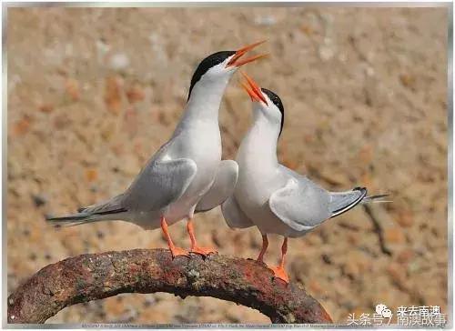 这座小岛究竟隐藏了多少秘密,一座鲜为人知的隐藏小岛