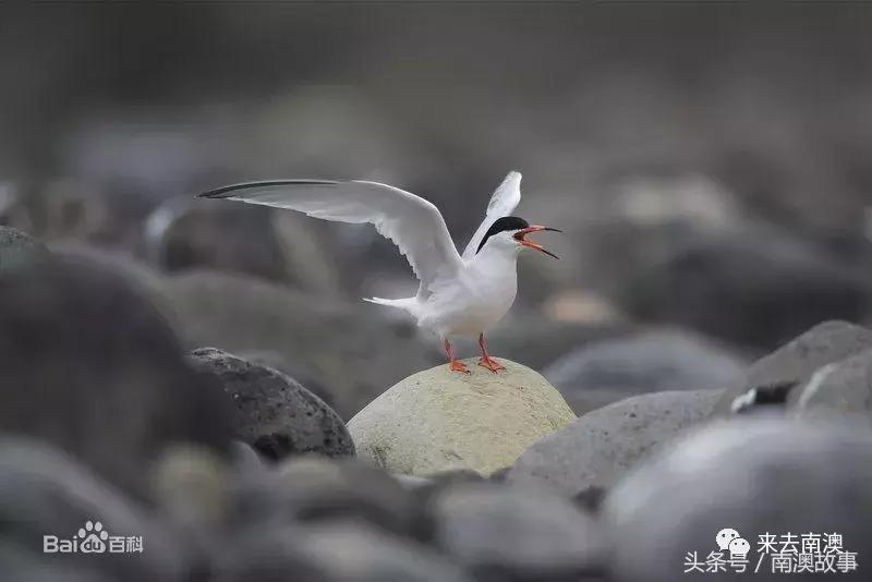 这座小岛究竟隐藏了多少秘密,一座鲜为人知的隐藏小岛