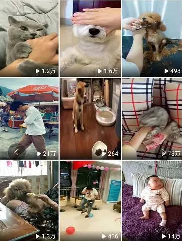 有一个创业赚钱新风口，百度全民小视频app